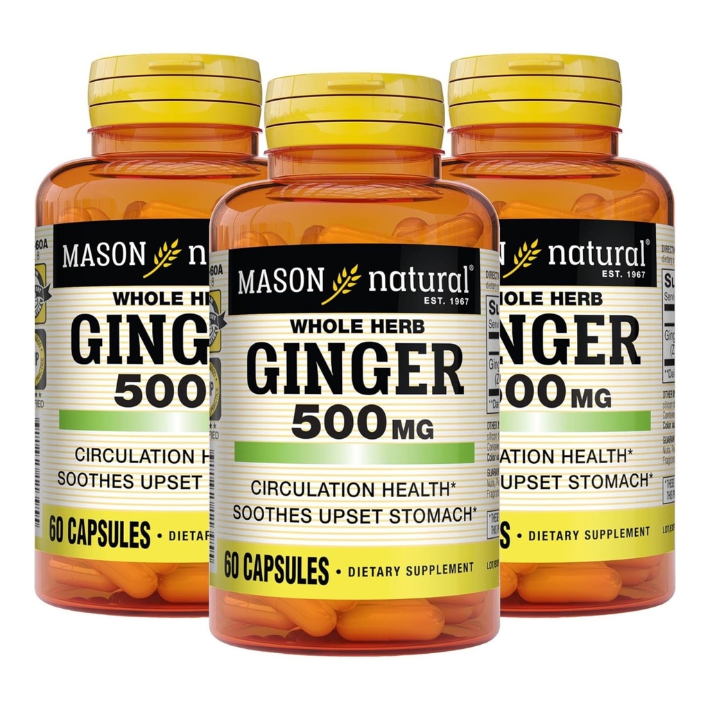 MASON NATURAL intero Herb Ginger 500 mg, 6 mesi di fornitura, naturale supplemento di erbe, 60 capsule (3 pacchetto)