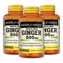 MASON NATURAL intero Herb Ginger 500 mg, 6 mesi di fornitura, naturale supplemento di erbe, 60 capsule (3 pacchetto)