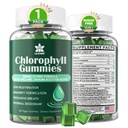 Gummie di clorofilla - Super Green con erba di grano, Moss di mare, non filtrato ACV & Elderberry, Echinacea, Zinc Complex & Vitamin D3, C, E, B12 per Deodorante naturale, Immune & Digestion Support, 60 Chews