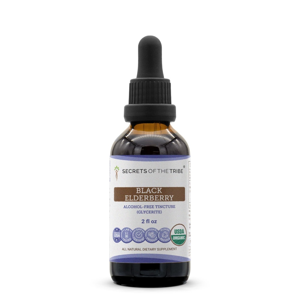 Black Elderberry USDA Organic Tincture | Alcohol-FREE Extract, High-Potency Herbal Drops, Immune System Health | Realizzato in 100% Organic Black Elderberry (Sambucus Nigra) 2 oz
