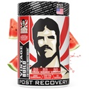 Vintage Build – Post Workout Recovery & Muscle Building Powder Drink for Muscular Strength & Growth - Riduce il dolore – Creatina Monoidrato, BCAA, L-Glutamina – Juicy Watermelon Flavor – 388g