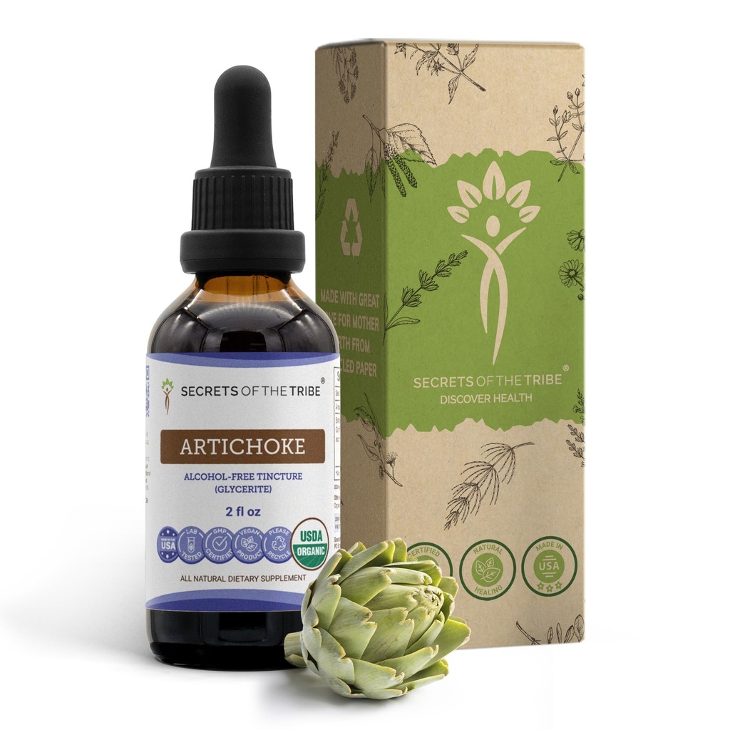 Segreti della Tribe Artichoke USDA Organic | Alcohol-Free Extract, High-Potency Herbal Drops
