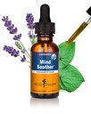 Herb Pharm Anxiety Soother Liquid Herbal Formula con Kava For Nervous System Support - 1 oncia
