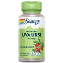 SOLARAY Uva Ursi Leaf 460 mg | La vescica sana, Rene & Urinary Tract Function Support | Non-GMO | 100ct (Take 3 Daily)