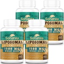 Spermidina Supplemento 15 MG - 99% Purezza, Alta Assorbimento, 1500 MG Estratto di Germa di grano fermentato con Zinc & Thiamin, Spermidina per gli uomini e le donne - Rinnovamento cellulare, Difesa dell'invecchiamento, Energia, 240 Softgels