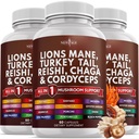 NUOVO AGE Lions Mane Mushroom Supplemento con Tail Reishi Cordyceps Chaga con Marshmallow Root 180 Count