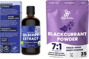 Estratto di mirtillo selvatico per gli occhi USDA Organic 3,4oz polvere di ribes nero Bundle congelare l'estratto di ribes nero essiccato per i moothies