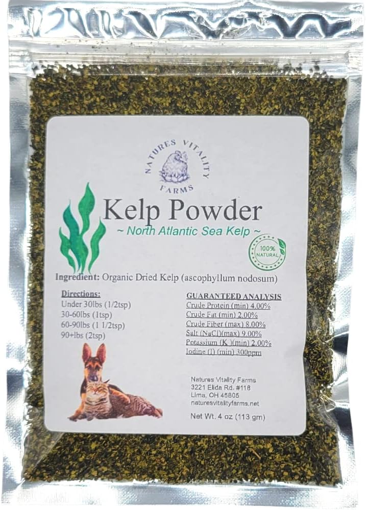 Polvere di kelp per cani/carne, Kelp naturale dell'oceano Atlantico del Nord, minerali di vitamine e antiossidanti per la salute finale (4 oncia)