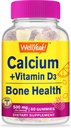 WellYes Calcium 500mg + Vitamina D3 1000 IU (25 mcg) Gummies - Bone Salute e Muscle Supprt, Gomma di supporto immunitario, Non OGM, Gluten Free, Mix Fruit Flavors - 60 Gummies
