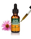 Estratto di liquido di Echinacea Super Echinacea Organico certificato Pharm per il supporto attivo del sistema immunitario - 1 oncia (DSUPER01)