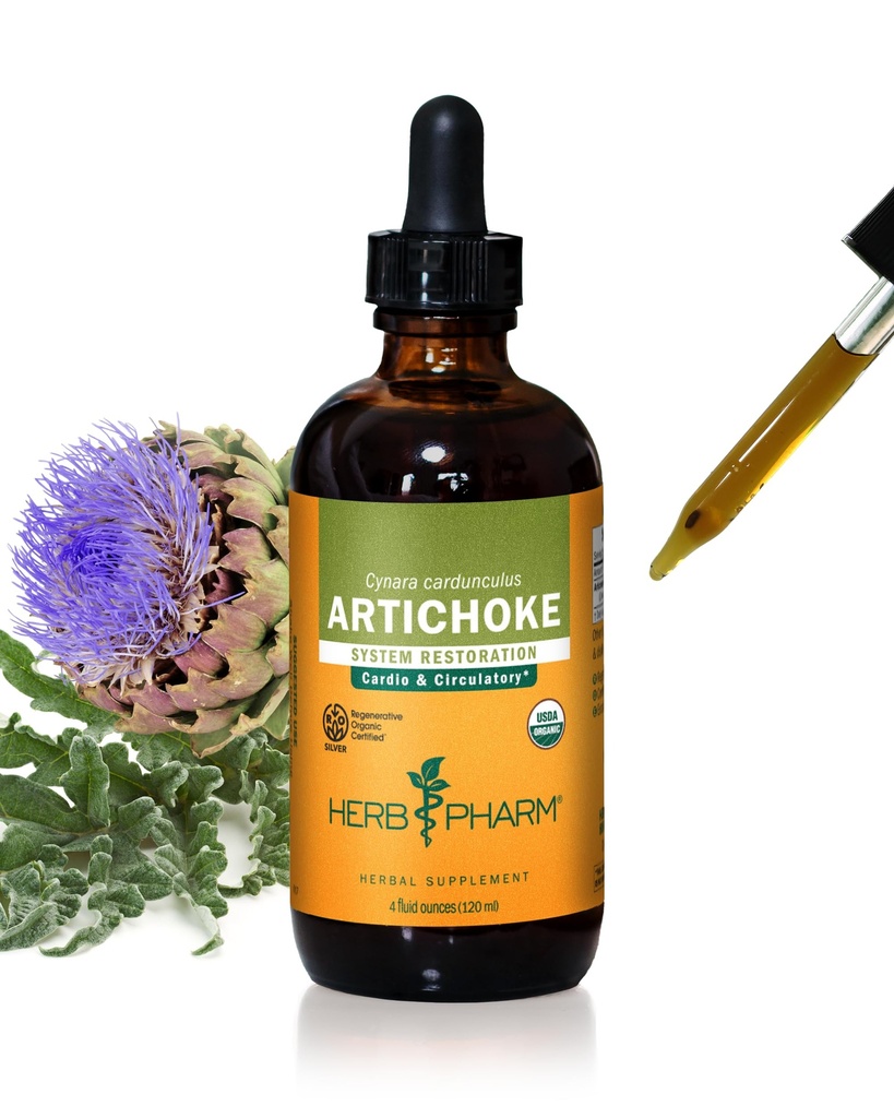 Estratto di liquido di carciofo organico certificato di Herb Pharm per il supporto cardiovascolare e circolatorio - 4 oncia