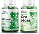 Gummie di clorofilla selvatica e biologica
