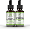 Benevolente clorofilla gocce liquide + Irish Sea Moss Drops 2oz, supplemento di clorofilla liquido di alimentazione di 4 mesi per Deodorizer interno & pelle di radiazione