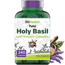 tnvitamins Holy Basil Capsules (1,600 mg Equivalent - 240 capsule) | 8 mesi di fornitura | AKA Tulsi | Maggio Promuovere Stress & Frustration Relief* | Adaptogenic, & Ayurvedic Herb
