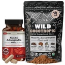 DailyNutra KSM 66 Ashwagandha (90 capsule) e Mushroom Cacao Mix (16oz) Bundle per rilassamento e messa a fuoco
