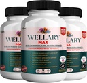 Wellary Max Menopause supplemento di supporto, 40 miliardi di CFU miscela probiotica, 90 capsule (3)