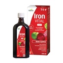 Hübner ferro vitale ferro da stiro alimentazione Plus vitamina C, supplemento dietetico per adulti e bambini, Vegan e senza glutine, aroma di frutta, bottiglia da 250 ml, 25 porzioni