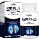 Superossido dismutasi Supplemento 500mg - SOD Inoltre con glutathione liposomiale, AKG, Estratto di tè verde, L-Arginina, Lisina, Resveratrolo e Vitamina E per il supporto immunitario, Antiossidante 60 capsule