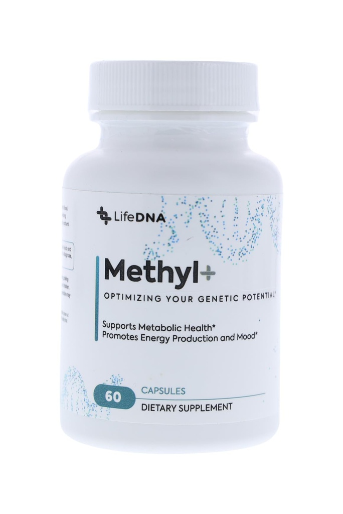 LIFEDNA Methyl + Methylfolate - Methylated Folate Multivitamin Complex con TMG Homocysteine ottimizzato, Cervello, Cardiovascular & Neurotransmitter supporto