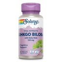 Estratto di SOLARAY Ginkgo Biloba con Gotu Kola - Ginko Biloba Capsules per il supporto della salute del cervello - Vegan, Lab Verificato, 60 giorni Garanzia - 60 Serve, 60 VegCaps (60 VegCaps)