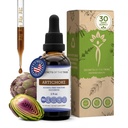 Segreti della Tribe Artichoke Tincture Alcohol-Free Liquid Extract, Artichoke (Cynara scolymus) Dried Leaf (2 FL OZ)