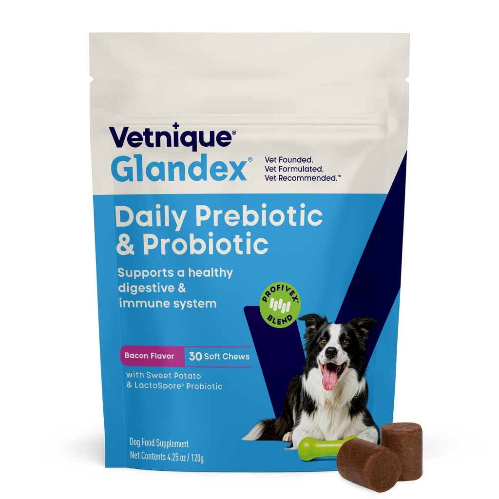 Vetnique Glandex Probiotici giornalieri per cani con prebiotici per sostenere la salute del fegato con enzimi fibre e digestivi, chews probiotici o polveri (30ct Chews, Bacon Chews)