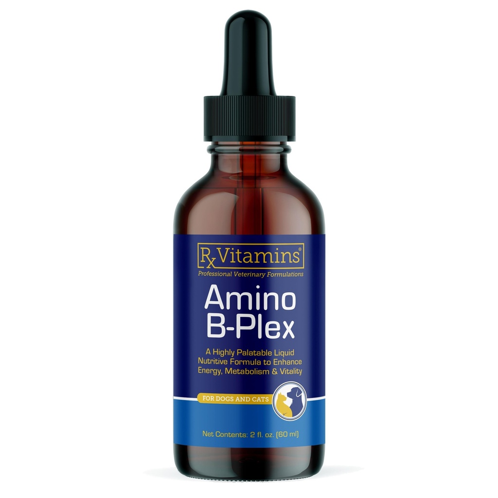 Rx Vitamins Amino B Plex Cat & Dog Supplement - Vitamina B Complex Liquid Plus Aminoacidi per cani e gatti - Appetite Booster and Weight Gainer Cat & Dog Vitamins - 2 oz