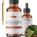 Saw Palmetto Tincture | Premium Alcohol-Free Estratto di erbe da Saw Palmetto Berries | Liquid Botanical Supplemento | Formula tradizionale di erbe made in USA - 2 oz (60 ml)