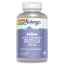 Solaray MSM Capsule, 750 mg, 180 Conte