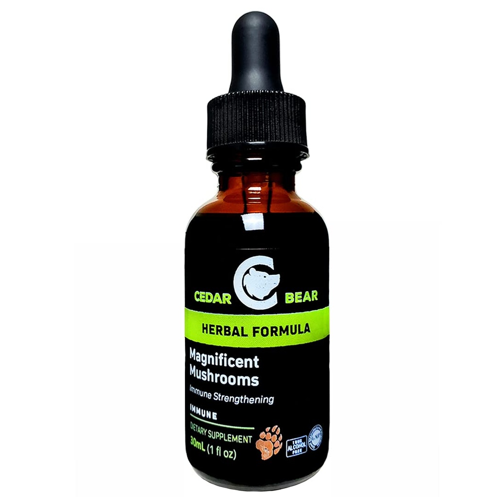 Cedro Orso Magnifico Funghi un supplemento di erbe liquido che costruisce il sistema immunitario, protegge, rafforza e bilancia salute generale 1 Fl Oz