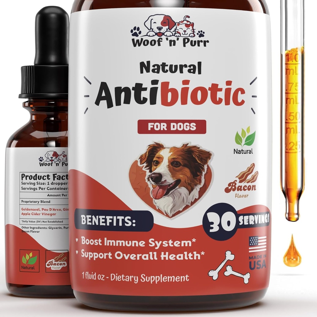 Antibiotici per cani per infezioni, tosse, UTI, allergie, prurito | Antibiotici naturali per cani a sostegno della pelle, cappotto, & digestione | per tutte le razze e le età | 1 fl oz