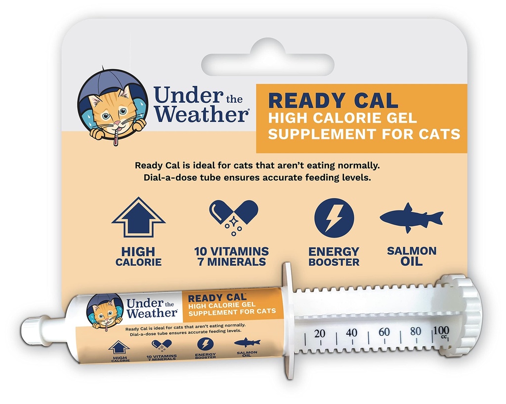 Sotto il tempo Pet | Cal pronto per i gatti 100cc | Supplemento ad alta calorie | Gainer di peso del gatto e Booster ad alta calorie | 10 vitamine, 7 minerali e acidi grassi Omega (per i gatti 100cc)