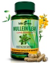 KIKI Green Mullein Leaf Extract Capsule - Vegan Herbal Supplement - per la pulizia polmonare, supporto, migliore respirazione, funzione immunitaria - 1000mg 45 Servings - 90 Count