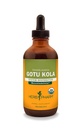 Estratto di liquido di Gotu Kola certificato di Herb Pharm per il supporto del sistema muscoloscheletrico - 4 oncia