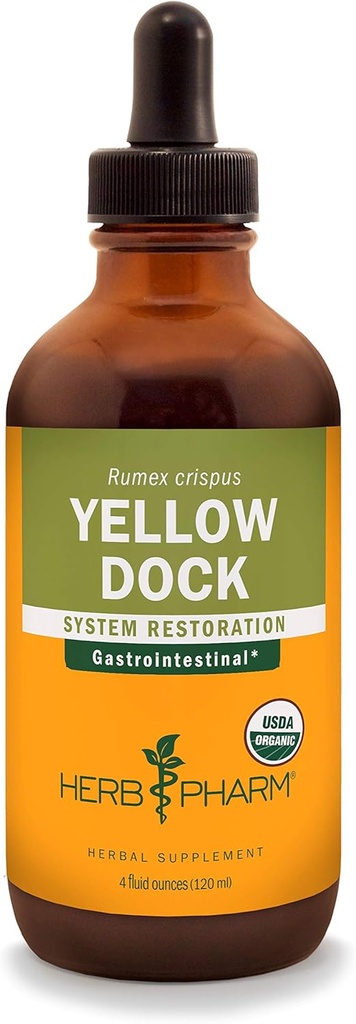Estratto di liquido del dock giallo dell'erba Pharm per il supporto del sistema digestivo - 4 oncia