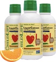 Integratore di calcio liquido per bambini - Baby Calcium con magnesio, zinco e vitamina D3 - Aroma arancione, 16 fl oz (3 Pack)