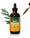 Estratto di liquido di foglia di oliva biologico certificato di Herb Pharm per il supporto del sistema immunitario, 4 Fl Oz