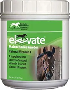 Kentucky Performance Prod 044097 Elevate polvere di manutenzione supplemento per cavalli, 2 lb