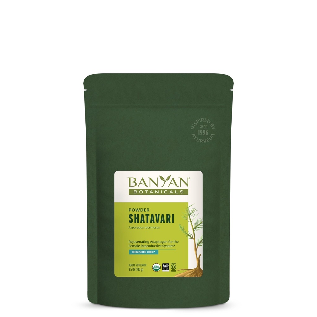 Banyan Botanicals Shatavari Polvere – Polvere di radice di asparagi organici – Tonico di adaptogeno ringiovanente che supporta un sistema riproduttivo sano* – 3,5 oz. – Non OGM Sustainably Sourced Vegan