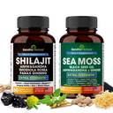 Shilajit Sea Moss Ashwagandha Combo Bundle - Black Seed Oil, Turmeric, Rhodiola Rosea, Panax, Ginseng Supplemento | 120 capsule, Meglio di Gummies, Resina | Seamoss per uomini e donne