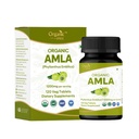 Amla 120 compresse – USDA Organic Indian Gooseberry – Ricco di vitamina C & Supporta la salute immunitaria*