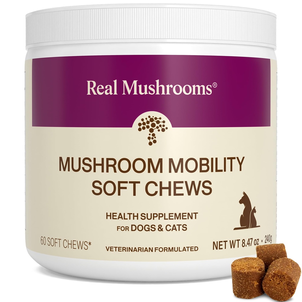 Mushrooms Real Mobilità Chews for Dogs & Cats – Green Lipped Mussel & ErgoGold Mushroom Blend – Dogs & Cat Vitamins Trattamenti per Active Routines – Joint, Hip & Flexibility Support – Supplemento 240 ct