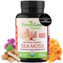 ForestLeaf Organic Irish Sea Moss Capsule | 2100mg Pillole Raw Seamoss Supplemento avanzato Superfood + Burdock, Bladderwrack per Digestivo, Respiratorio, Salute Immune | 90 Vegan Organic Sea Moss Caps