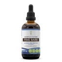 Segreti della Tribe Pine Bark Alcohol-Free Liquid Extract, Wildcrafted Pine Bark (Pinus strobus) Dried Bark (4 FL OZ)