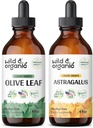 Leaf Tincture 4 fl oz & Astragalus Tincture 4 fl oz