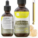 Lions Mane Extract - Lions Mane Tincture - Made in Italy - Mushroom Supplement for Memory, Focus & Clarity - Daily Mushroom Supplement - 4 Fl oz.