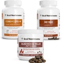 Funghi reali Reishi & Cordyceps per gli esseri umani e funghi Pet Relax Chews - Bundle per il relax, energia e immunità - Vegan, Non OGM, Gluten-Free, Grain-Free Mushroom Extract Supplements