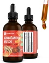 360 Nutrition Ashwagandha & Reishi Root Supplemento Drops for Stress Relief, Stamina & Longevity, and Energy Support - Vegan Non-GMO Adaptogenic - 4 fl oz, 60 Serve