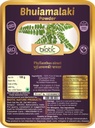 Veena Biotic Bhumi Amla Polvere (Phyllanthus Niruri) Bhoomi Amla Polvere - Bhuiamlaki Polvere - 100gm