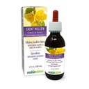 Naturalma Grande Mullein o Mullein comune (Verbascum thapsus) Fiore e Foglia Alcohol-Free Tintura - 4 fl oz Estratto liquido in gocce - Supplemento erbe - Vegan